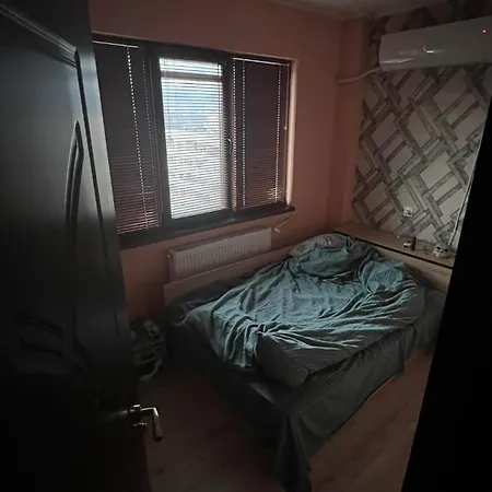 Cozy * Sofia